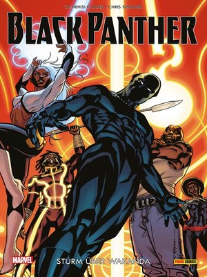 cover image of Black Panther 2 -Sturm über Wakanda